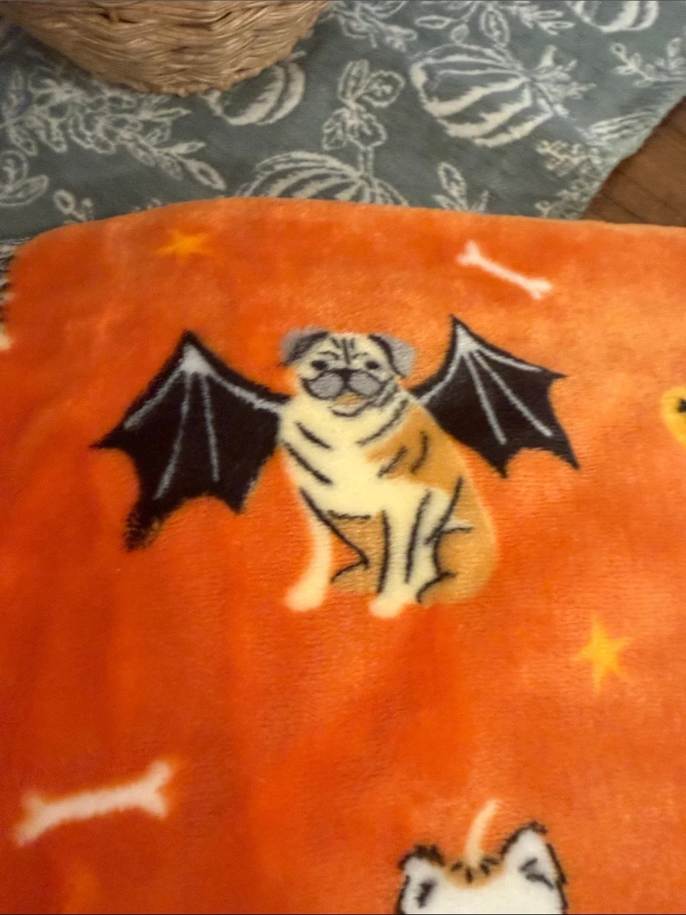 Halloween Blanket Canines in Costume